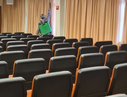 WhatsApp-Image-2022-02-16-at-14.20.34-1-e1646745449271-500x383